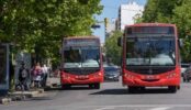 colectivo