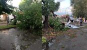 miramar temporal
